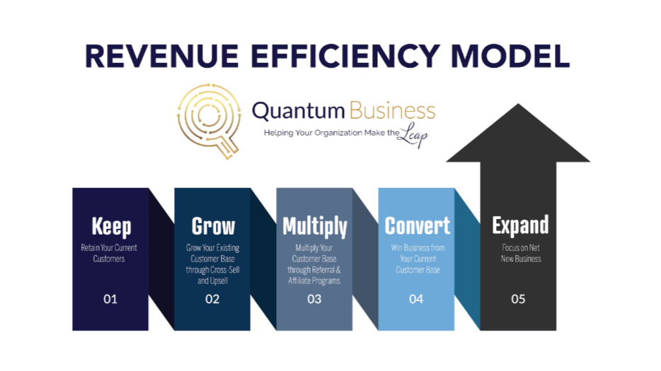 Revenue Efficiency Model